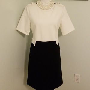 Julie Brown NYC Tegan Dress Ivory/Black